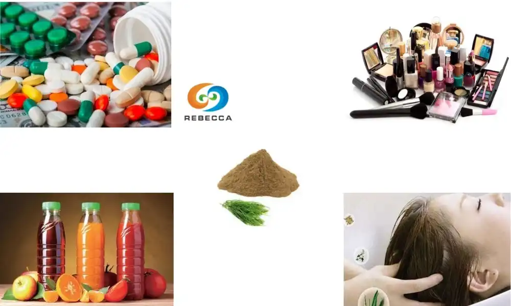 Why Manufacturers Choose Horsetail Extract for Formulations?